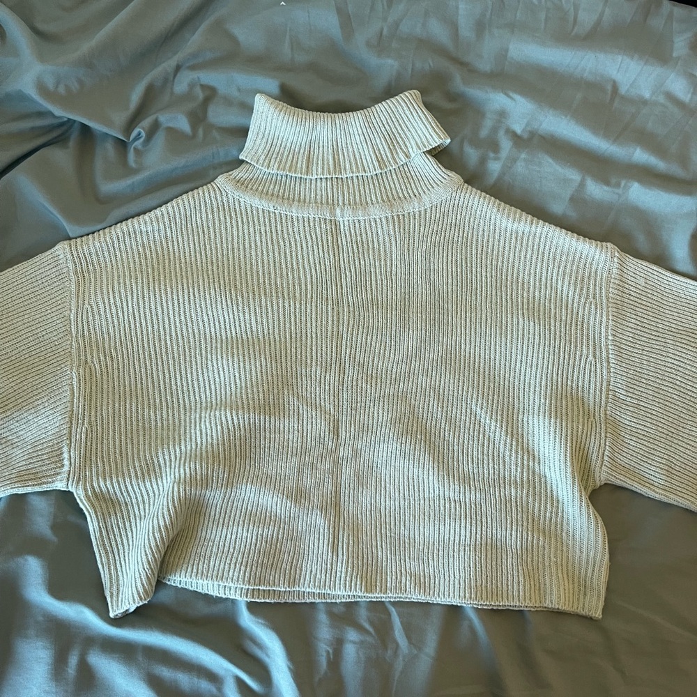 Cropped turtleneck
